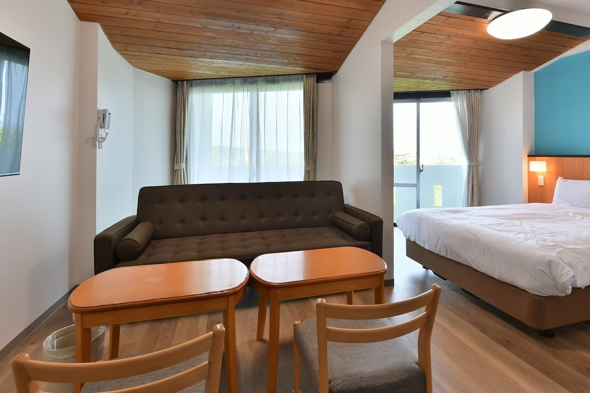A room with a sofa, a bed, a small table, and two chairs.