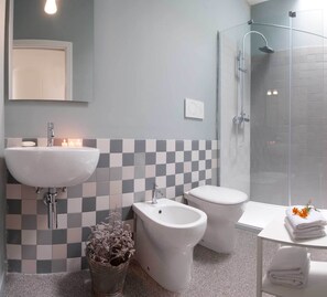 Shower, hair dryer, bidet, towels