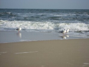 In Strandnähe