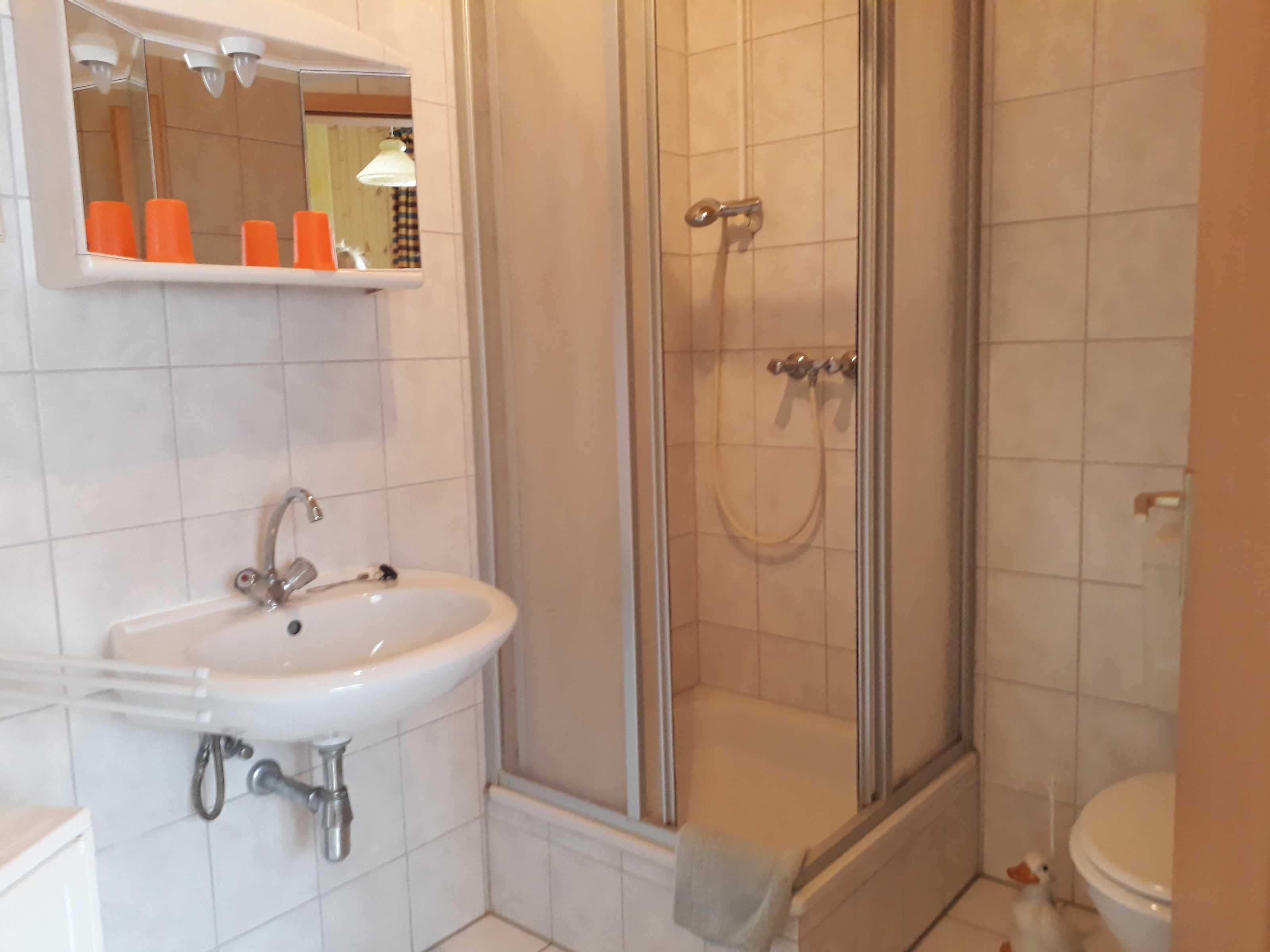 A bathroom with a sink, mirror, and shower.