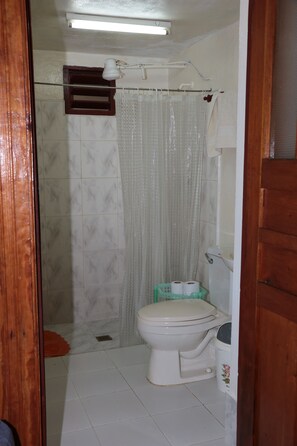 Douche, articles de toilette gratuits, serviettes fournies