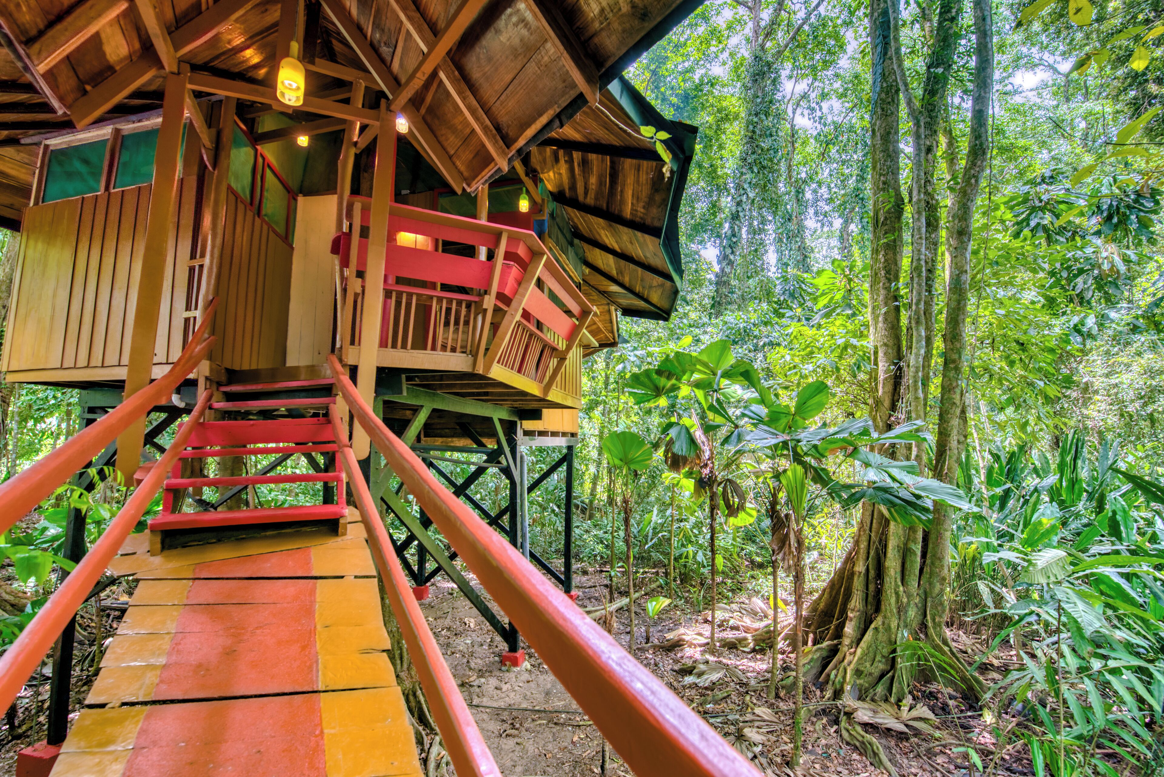 A wooden treehouse with a staircase leading up to a platform with a railing.