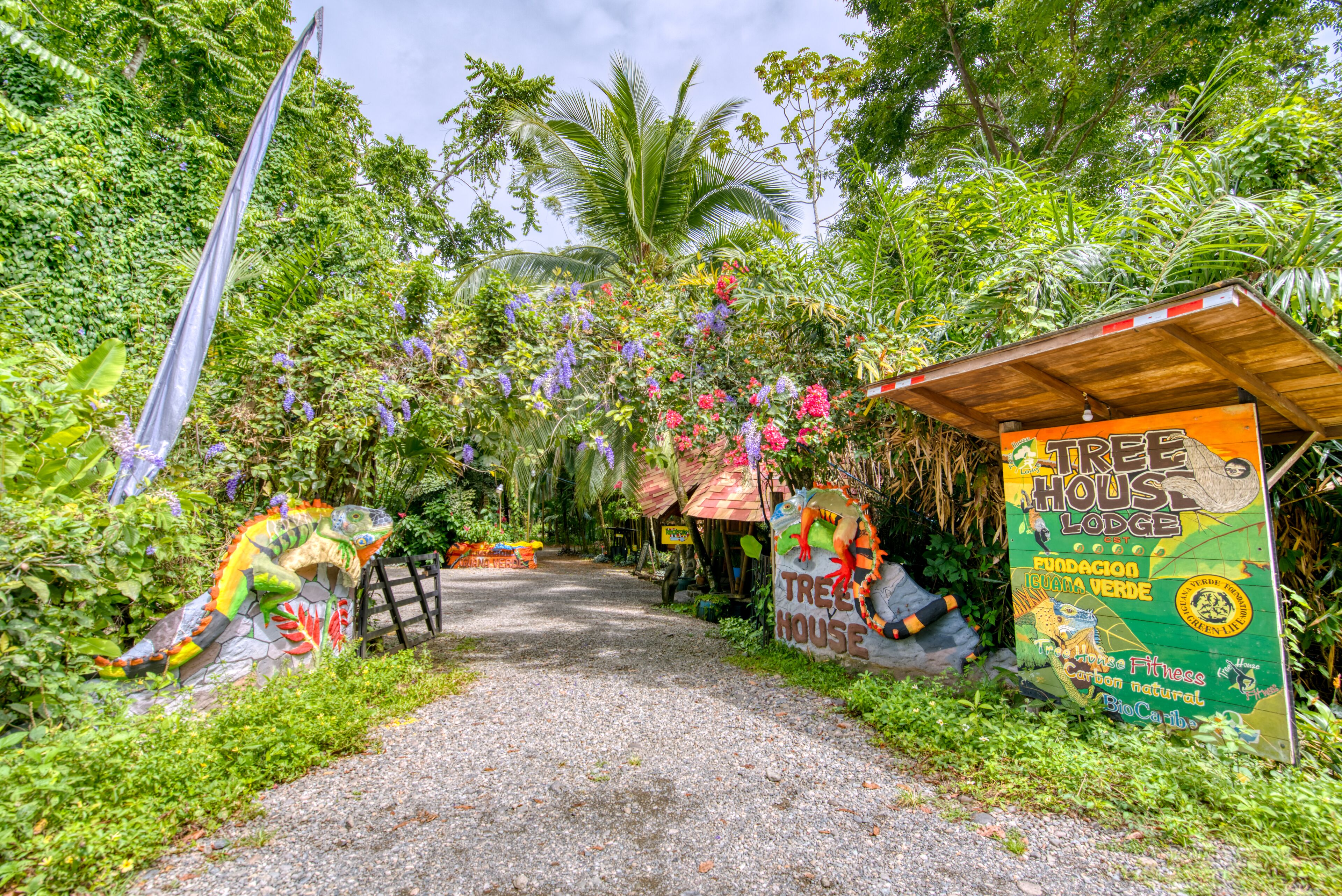A pathway leading to a treehouse lodge surrounded by lush greenery and colorful decorations.