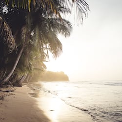 On the beach, snorkeling, surfing