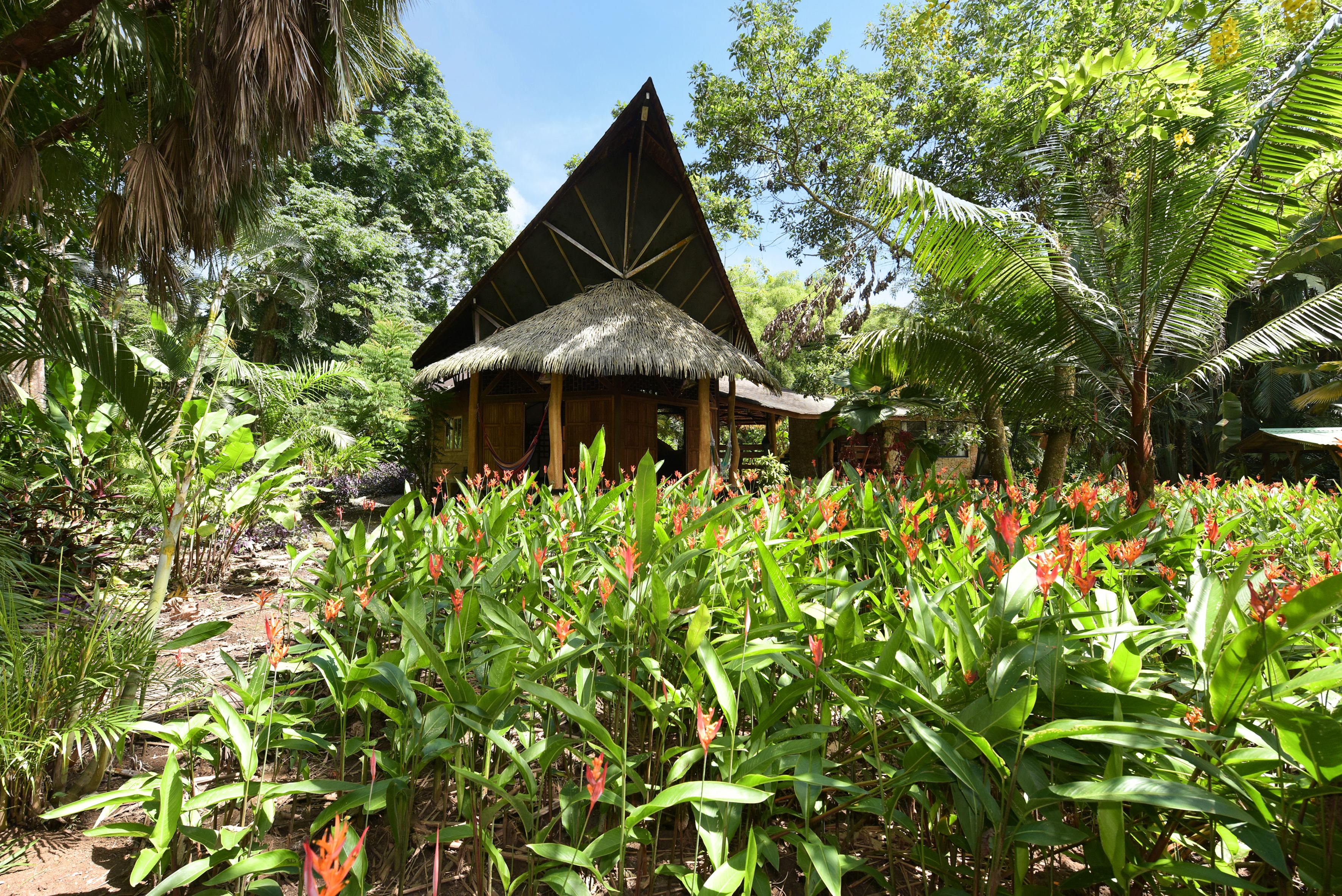 A thatched-roof structure surrounded by lush greenery and flowering plants.