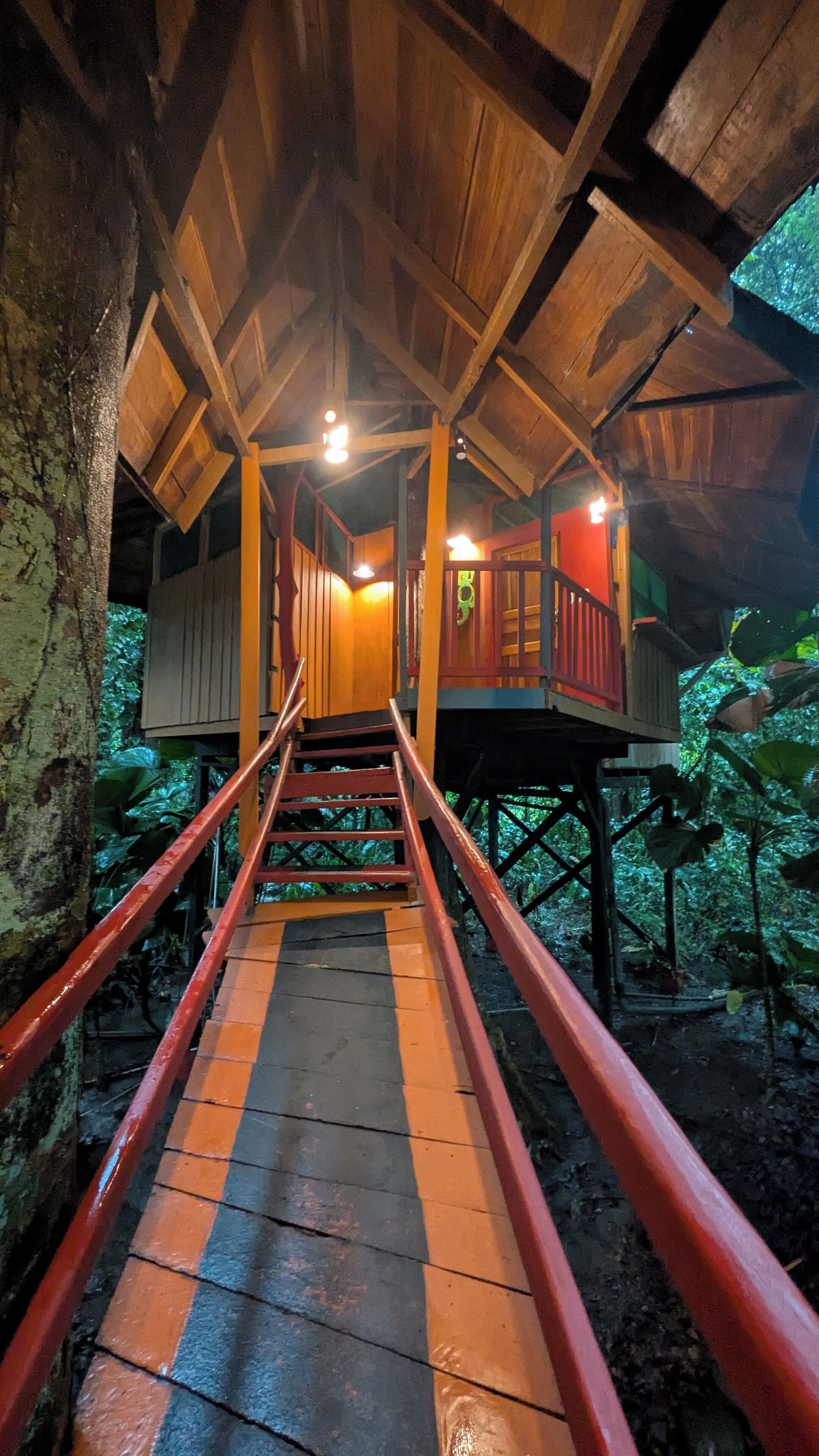 A wooden staircase leading to a platform with a railing, surrounded by greenery.