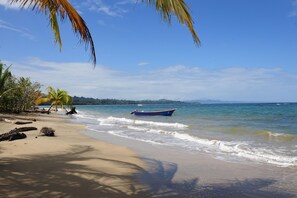 Ein Strand mit einem Boot, Palmen und blauem Himmel.