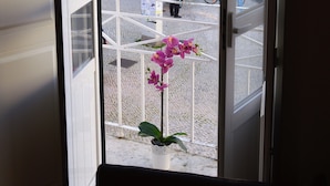 Vistes des d'una finestra amb una orquídia en test, una escena urbana amb cotxes i vianants, i edificis al fons.