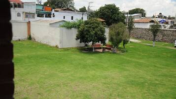 A grassy yard with a white wall, a tree, and a bench.