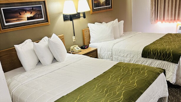 Ein Hotelzimmer mit zwei Betten, jeweils mit weißer Bettwäsche und grünen Überwürfen. An den Wänden sind Wandlampen und gerahmte Kunstwerke über den Betten angebracht.