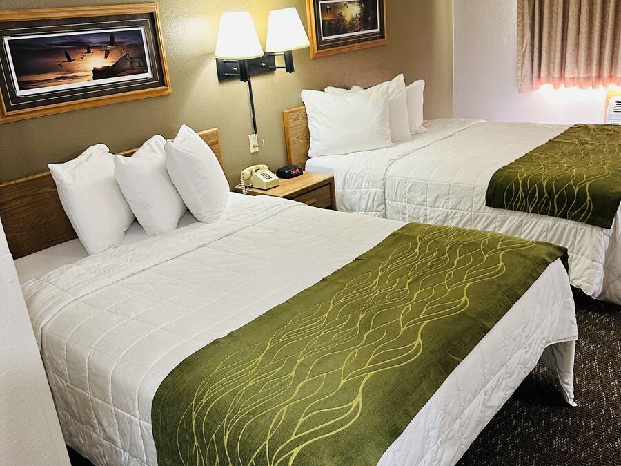 Standard Room, 2 Queen Beds | Iron/ironing board, free WiFi, bed sheets