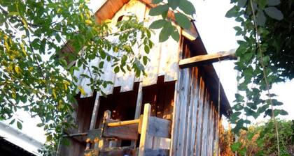 Apartment LUISE - Apartments FINE and LUISE with bike rental