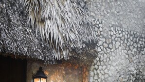 A stone staircase leading to a wooden door with a thatched roof and a wall-mounted lantern. - Coqui Coqui Valladolid (Valladolid)