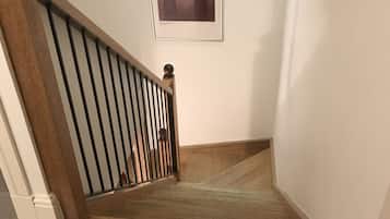 Escaleras