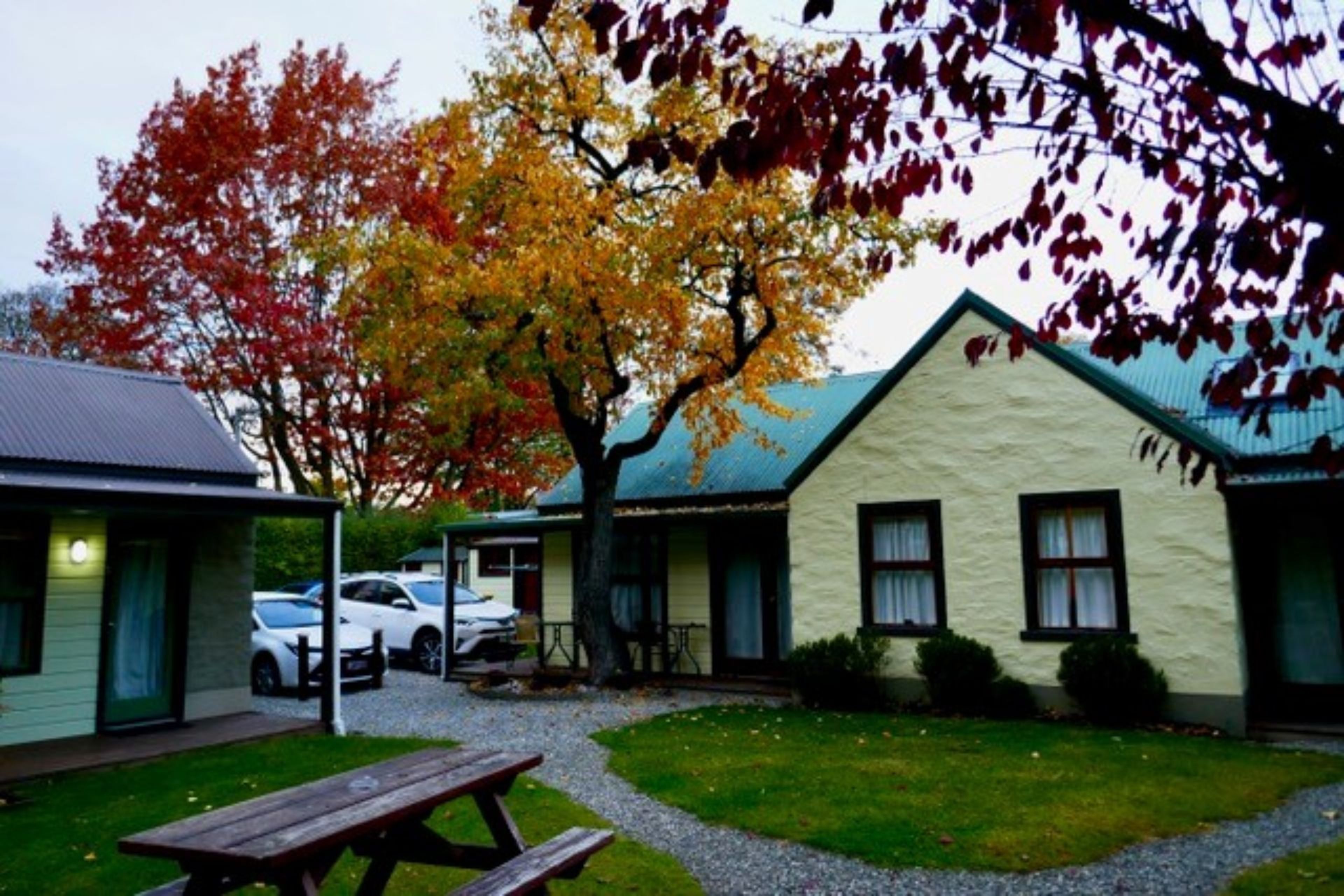 A motel with a covered parking area, a picnic table, and a tree with autumn leaves.
