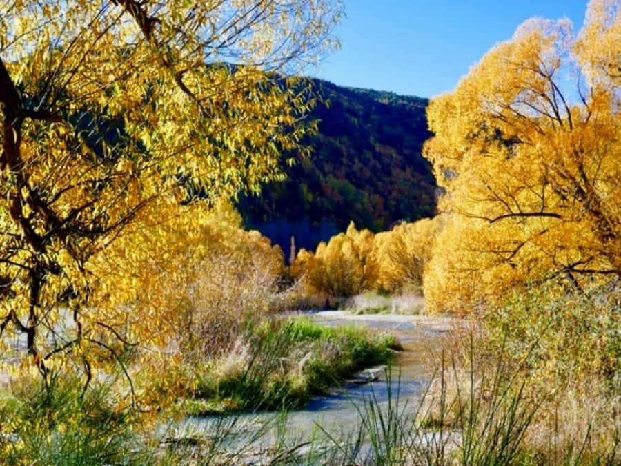 Vista desde la propiedad