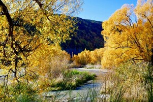Vista desde la propiedad