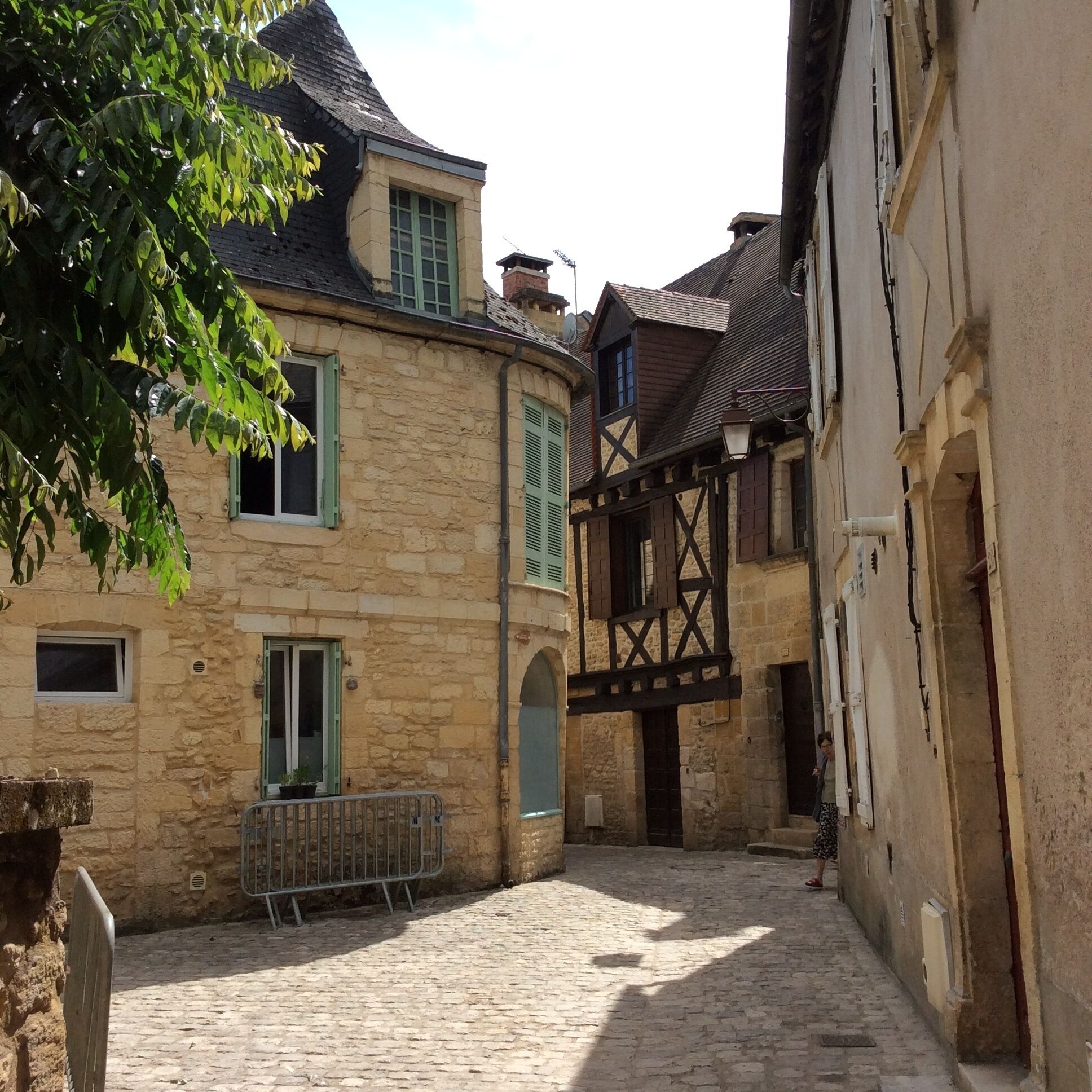 A narrow cobblestone street between old stone buildings with traditional architecture, including timber framing and green shutters.