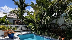 A swimming pool surrounded by tropical plants and a white fence.