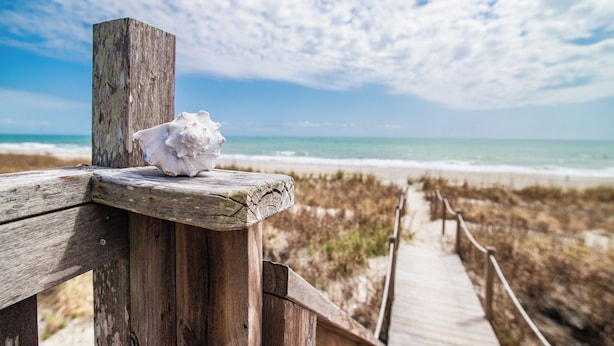 A wooden boardwalk leading to a beach with a white shell on a post.
