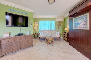TV, DVD player, books