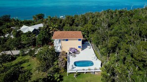Una casa con piscina, rodeada de abundante vegetación y vista al océano.