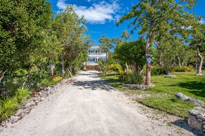 A gravel pathway leading to a building with a blue and white facade, surrounded by lush greenery and tropical plants.