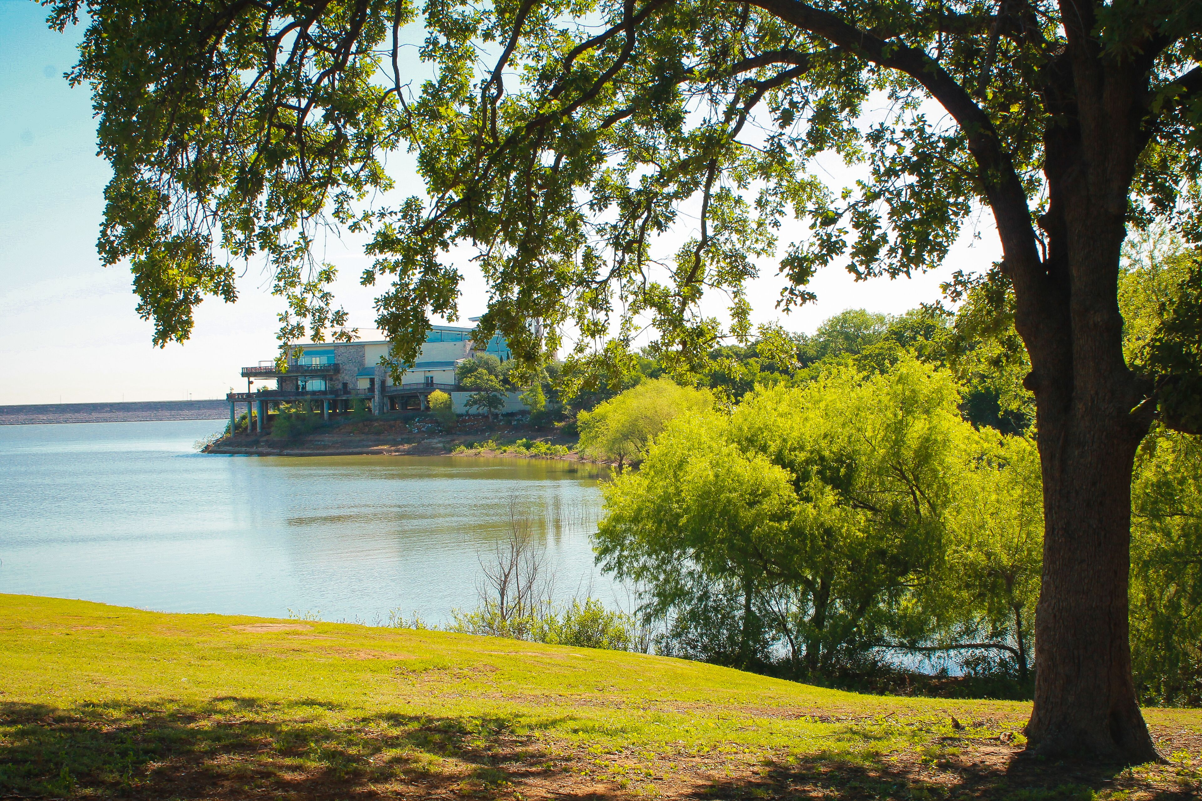 A lakeside property with a large tree in the foreground, a grassy area, and a building with a balcony overlooking the water.