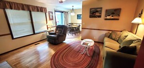 Televisión, chimenea, reproductor de DVD