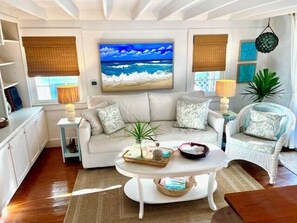 Smart TV, DVD player, books, stereo