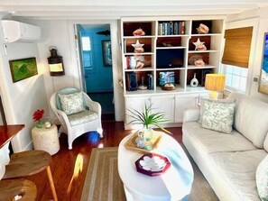 Smart TV, DVD player, books, stereo