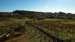 Vista desde la habitación