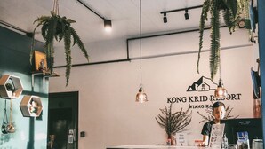 Un espace d’accueil doté d’un comptoir en marbre, de plantes suspendues et d’une enseigne indiquant « KONG KRID RESORT ».