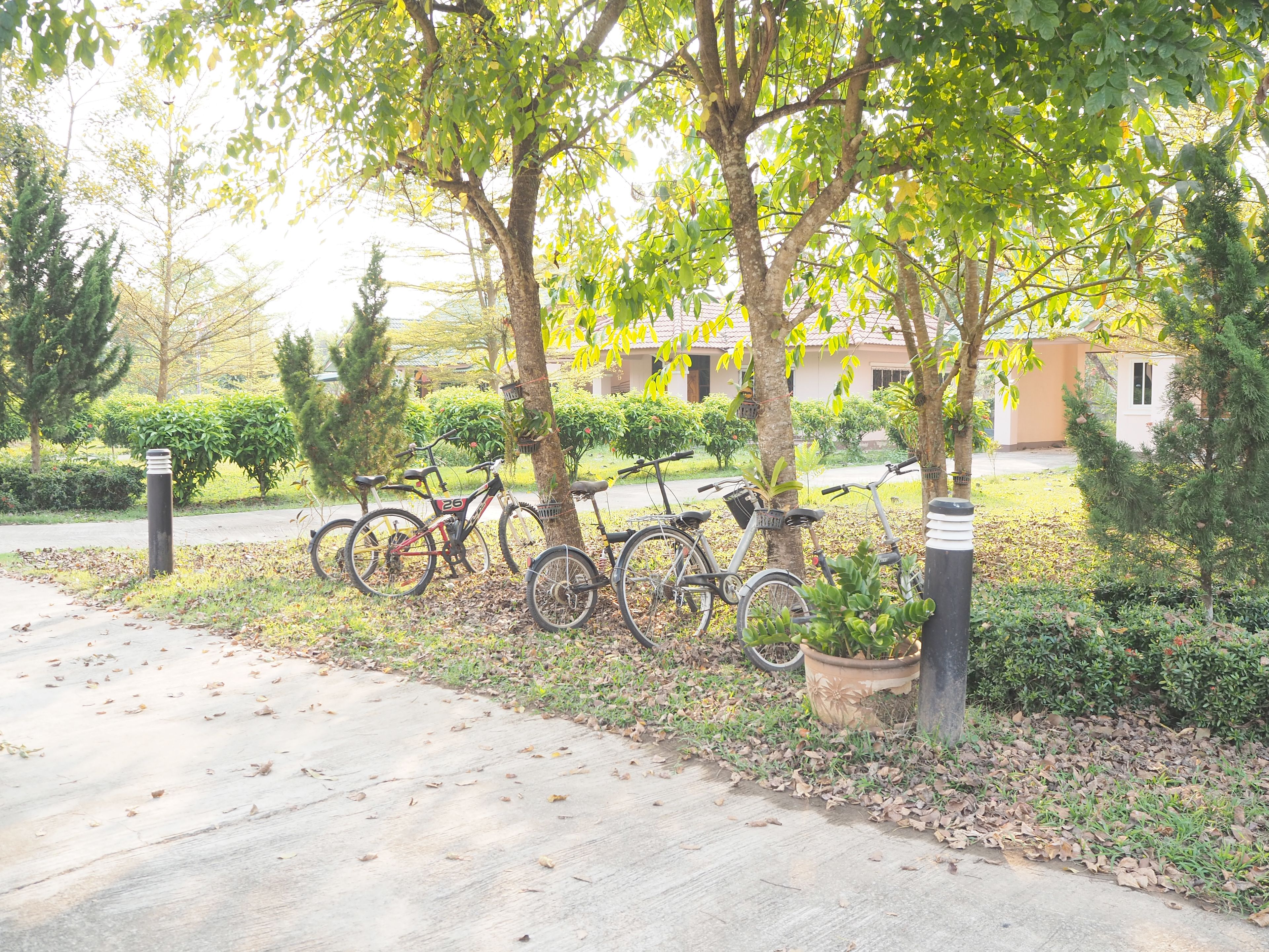 A paved pathway with bicycles parked by trees, a building with a beige facade, and a well-maintained garden area.