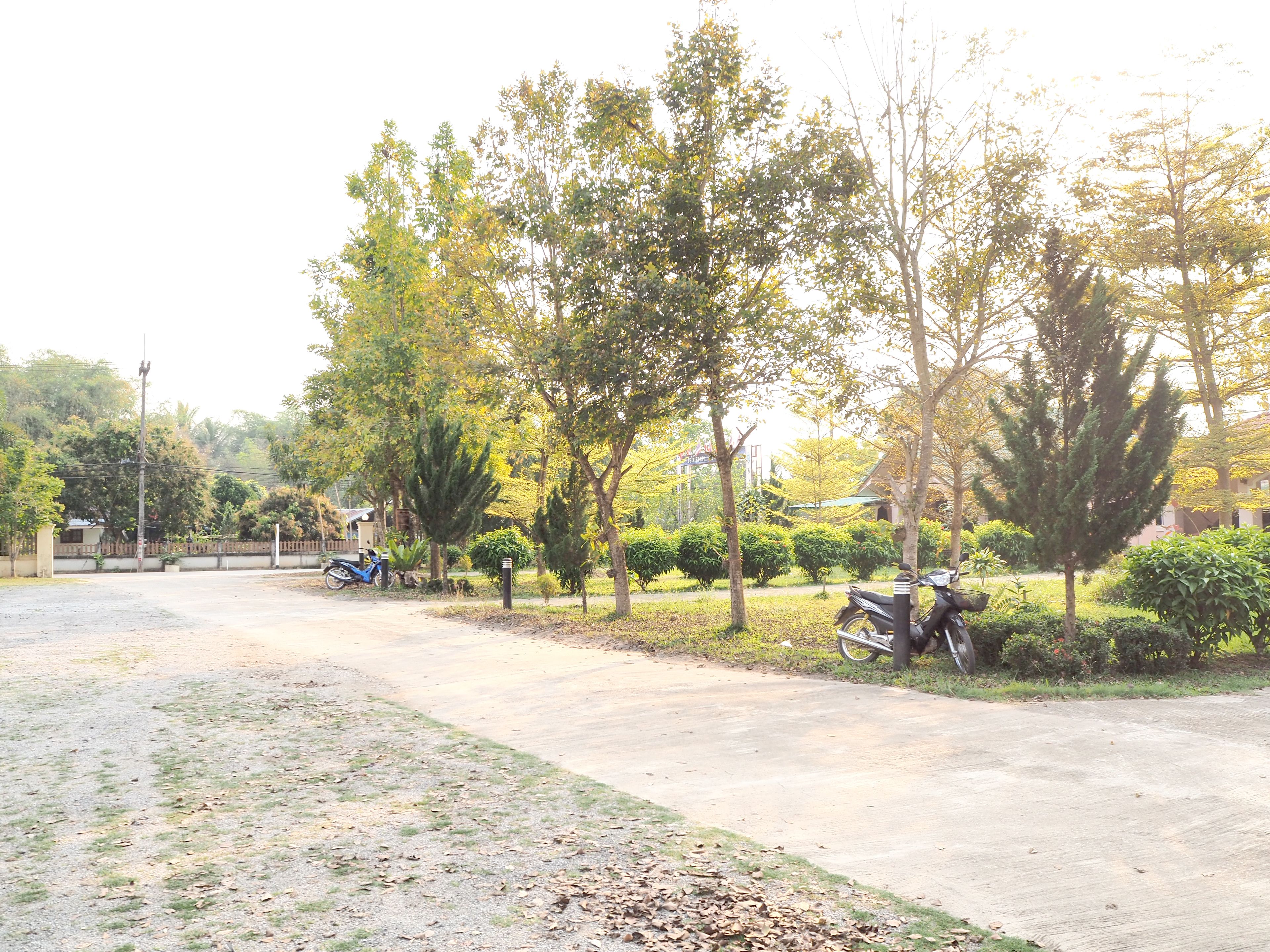 Un sendero pavimentado con árboles y una motocicleta estacionada.