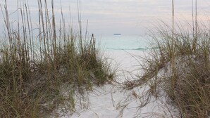 Uma praia com dunas de areia e vegetação rala.