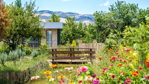 Eine hölzerne Bank in einem Garten, im Hintergrund ein kleines Gebäude.