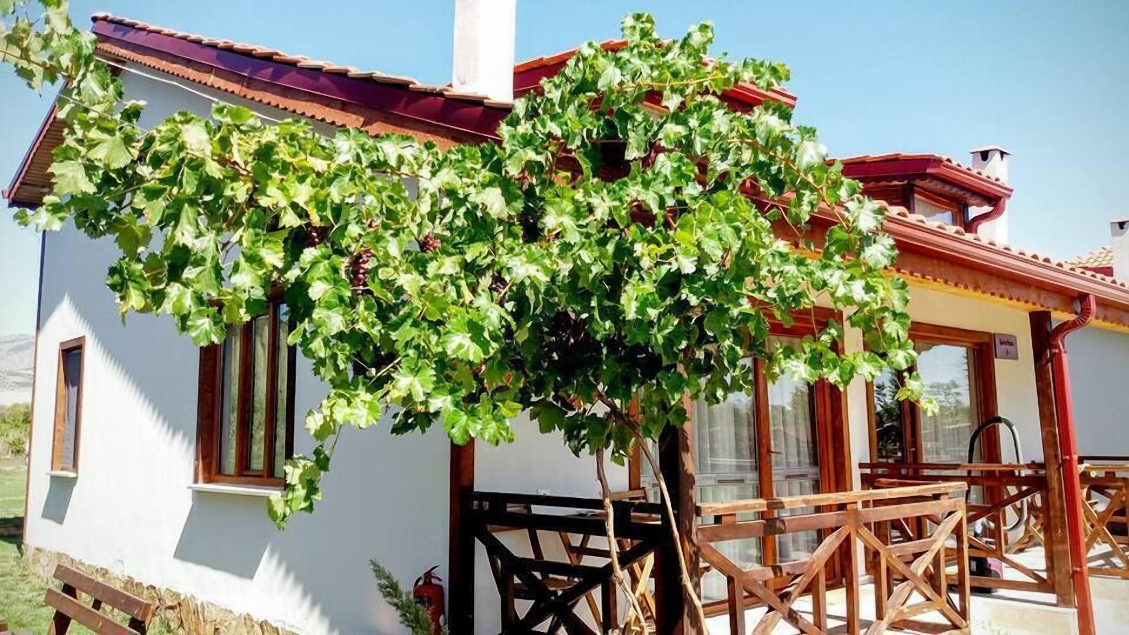 Deluxe Villa | 1 bilik tidur, meja, kalis bunyi, seterika/papan seterika 