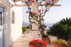 Property grounds - Spacious Luxury Villa Delion-stunning sunset&bay view, infinity pool, by beaches (PAROS)