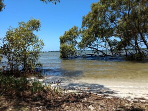 Une plage avec une eau cristalline, des arbres et un rivage sablonneux.