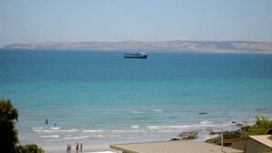 A coastal view with a beach, ocean, and a cruise ship in the distance. - Millpond - Penneshaw Beach (Penneshaw)