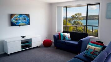 Smart TV, video games, DVD player, books