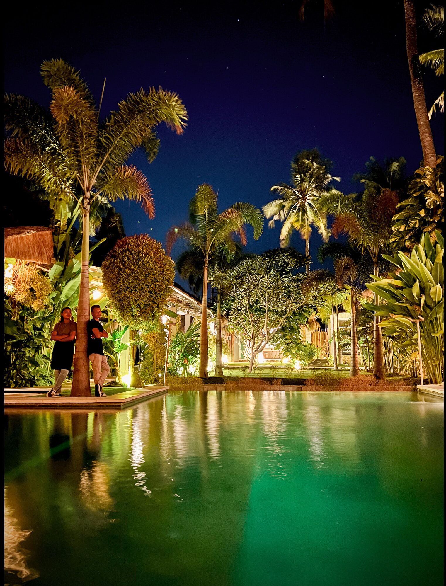 A nighttime pool area with palm trees and a building in the background.