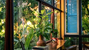 A window with a potted plant and a book on a table. - Trai Hoa Vang Homestay - Hostel (Phu Yen)