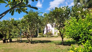 Un jardín con varios árboles y un edificio al fondo.