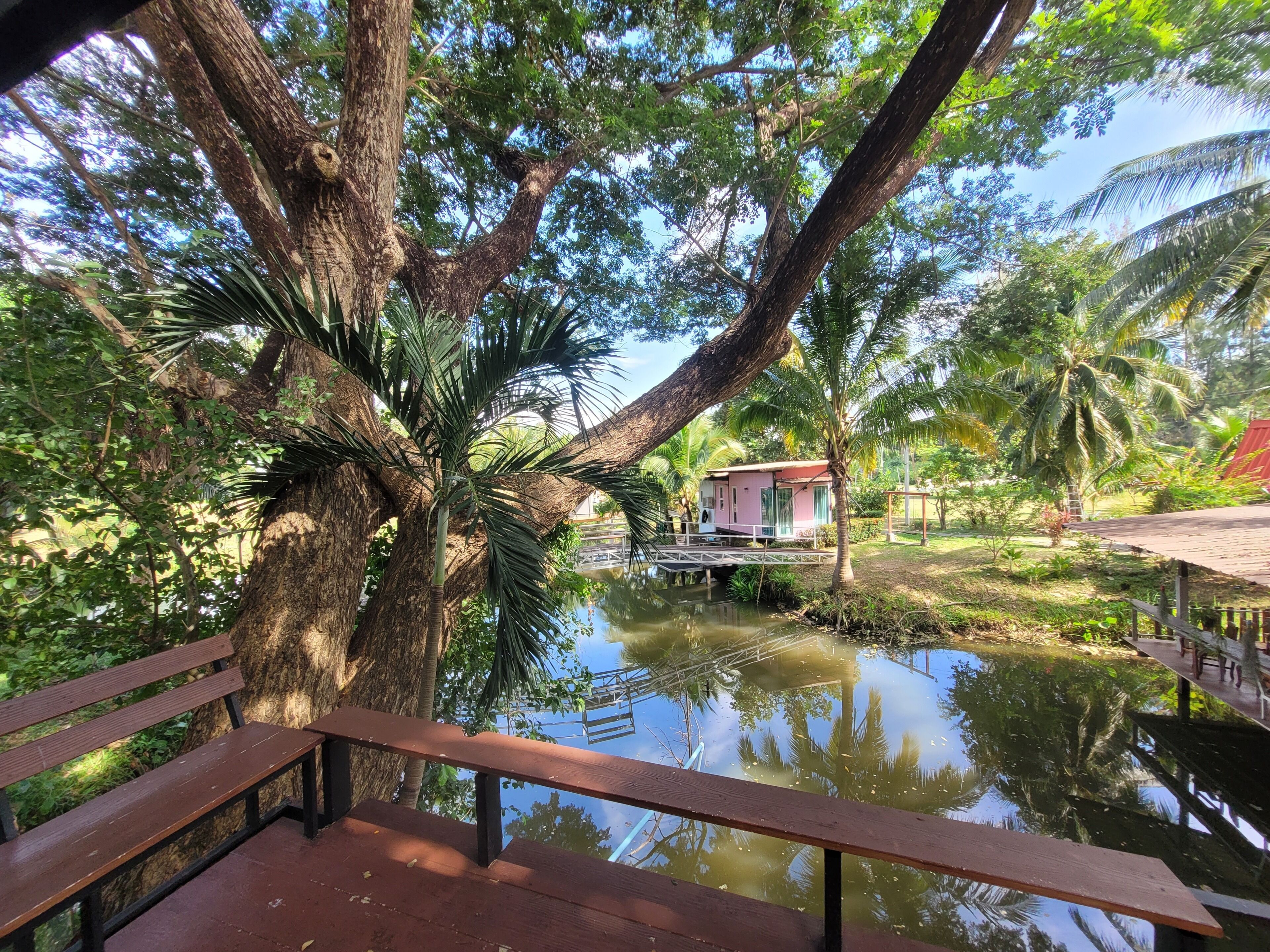 豪華客房 | 露台/庭院