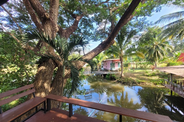 Rom – deluxe | Terrasse/patio