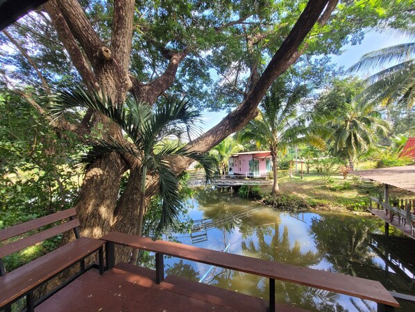 Deluxe kamer | Terras