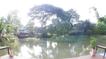 Deluxe Room | Terrace/patio