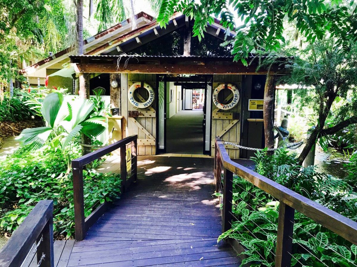 A wooden pathway leading to a rustic building with a thatched roof, surrounded by lush greenery.